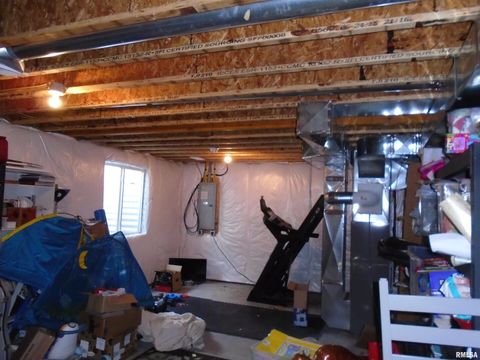 Tiny photo for 119 14TH Avenue, De Witt, IA 52742 (MLS # QC4268081)