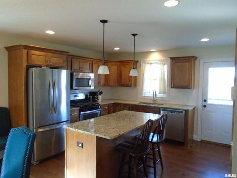 Tiny photo for 119 14TH Avenue, Dewitt, IA 52742 (MLS # QC4268081)