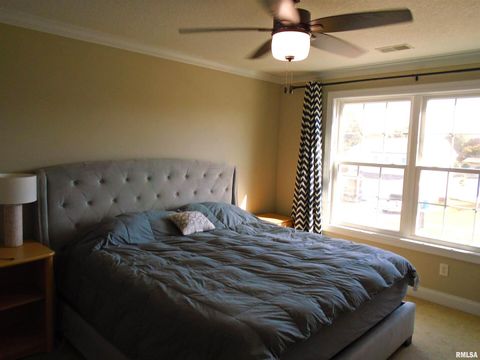 Tiny photo for 119 14TH Avenue, De Witt, IA 52742 (MLS # QC4268081)