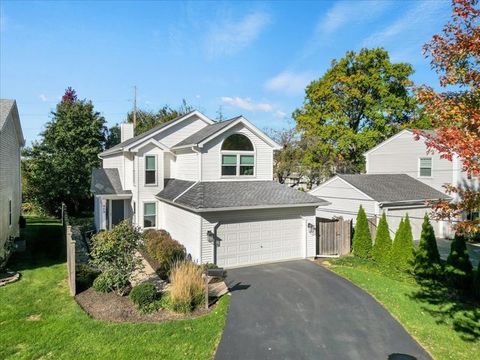 959 N Brainard Street Naperville IL 60563