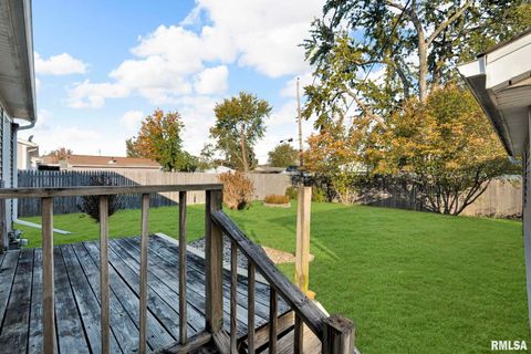 Tiny photo for 315 20TH Avenue, Milan, IL 61264 (MLS # QC4268861)