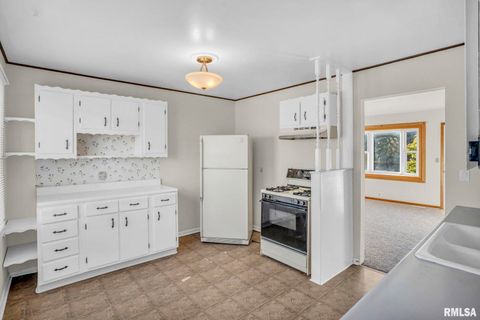 Tiny photo for 315 20TH Avenue, Milan, IL 61264 (MLS # QC4268861)