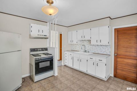 Tiny photo for 315 20TH Avenue, Milan, IL 61264 (MLS # QC4268861)