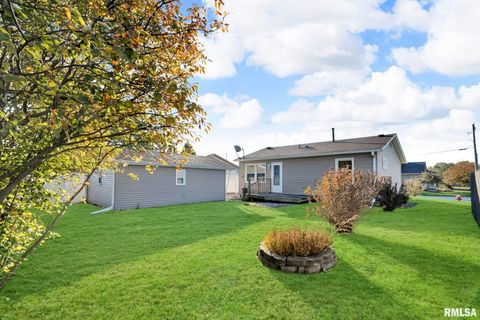 Tiny photo for 315 20TH Avenue, Milan, IL 61264 (MLS # QC4268861)