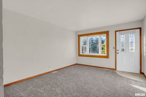 Tiny photo for 315 20TH Avenue, Milan, IL 61264 (MLS # QC4268861)