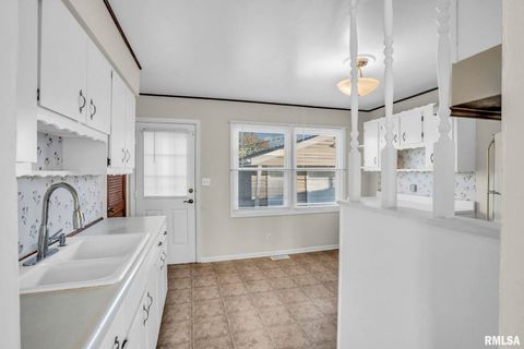 Tiny photo for 315 20TH Avenue, Milan, IL 61264 (MLS # QC4268861)