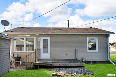 Tiny photo for 315 20TH Avenue, Milan, IL 61264 (MLS # QC4268861)