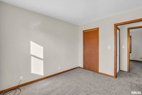 Tiny photo for 315 20TH Avenue, Milan, IL 61264 (MLS # QC4268861)