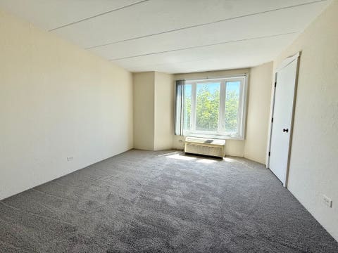 Tiny photo for 1 Renaissance Place #505, Palatine, IL 60067 (MLS # 12683002)