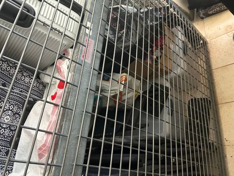 Tiny photo for 6701 S Crandon Avenue #9B, Chicago, IL 60649 (MLS # 12547298)