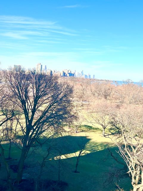 Tiny photo for 6701 S Crandon Avenue #9B, Chicago, IL 60649 (MLS # 12547298)