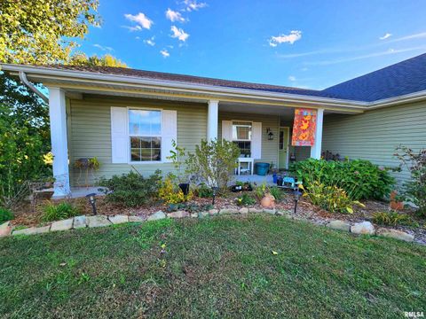 Tiny photo for 156 HANOVER Lane, Murphysboro, IL 62966 (MLS # EB460283)