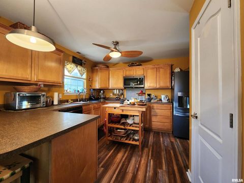 Tiny photo for 156 HANOVER Lane, Murphysboro, IL 62966 (MLS # EB460283)