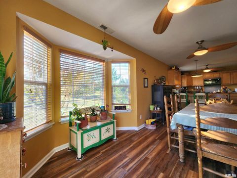 Tiny photo for 156 HANOVER Lane, Murphysboro, IL 62966 (MLS # EB460283)