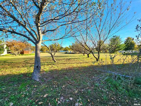 Tiny photo for 156 HANOVER Lane, Murphysboro, IL 62966 (MLS # EB460283)