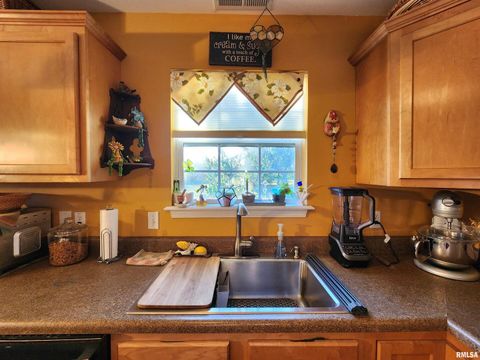 Tiny photo for 156 HANOVER Lane, Murphysboro, IL 62966 (MLS # EB460283)