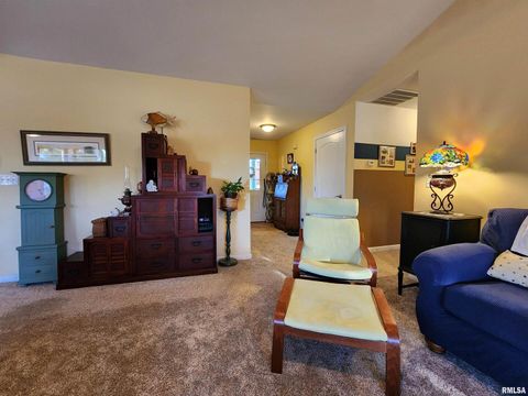 Tiny photo for 156 HANOVER Lane, Murphysboro, IL 62966 (MLS # EB460283)