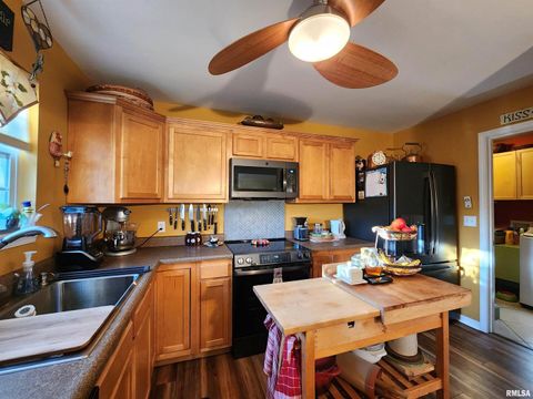 Tiny photo for 156 HANOVER Lane, Murphysboro, IL 62966 (MLS # EB460283)