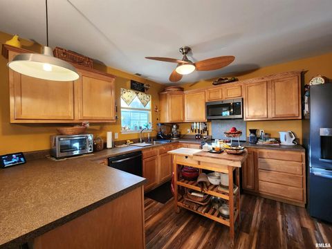 Tiny photo for 156 HANOVER Lane, Murphysboro, IL 62966 (MLS # EB460283)