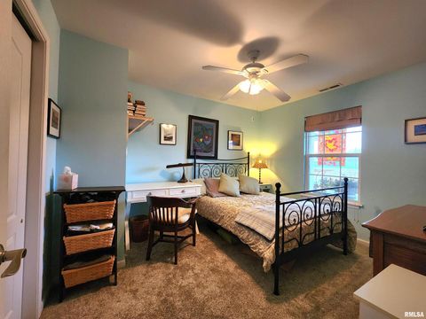 Tiny photo for 156 HANOVER Lane, Murphysboro, IL 62966 (MLS # EB460283)