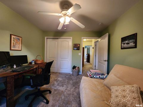 Tiny photo for 156 HANOVER Lane, Murphysboro, IL 62966 (MLS # EB460283)