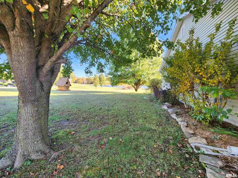 Tiny photo for 156 HANOVER Lane, Murphysboro, IL 62966 (MLS # EB460283)