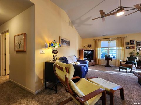 Tiny photo for 156 HANOVER Lane, Murphysboro, IL 62966 (MLS # EB460283)