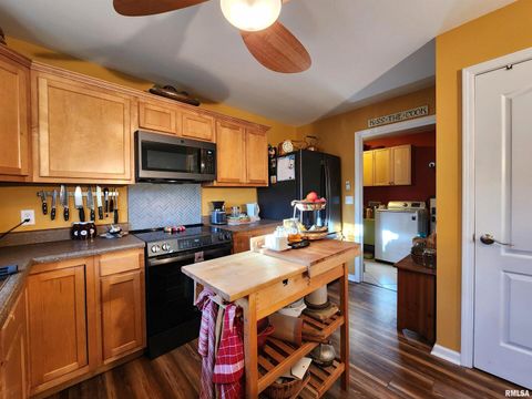 Tiny photo for 156 HANOVER Lane, Murphysboro, IL 62966 (MLS # EB460283)