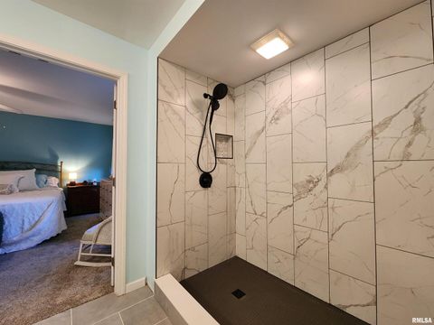 Tiny photo for 156 HANOVER Lane, Murphysboro, IL 62966 (MLS # EB460283)