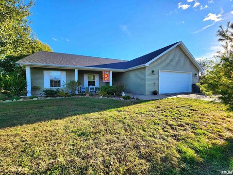 Tiny photo for 156 HANOVER Lane, Murphysboro, IL 62966 (MLS # EB460283)