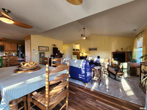 Tiny photo for 156 HANOVER Lane, Murphysboro, IL 62966 (MLS # EB460283)