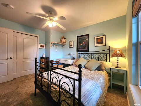 Tiny photo for 156 HANOVER Lane, Murphysboro, IL 62966 (MLS # EB460283)