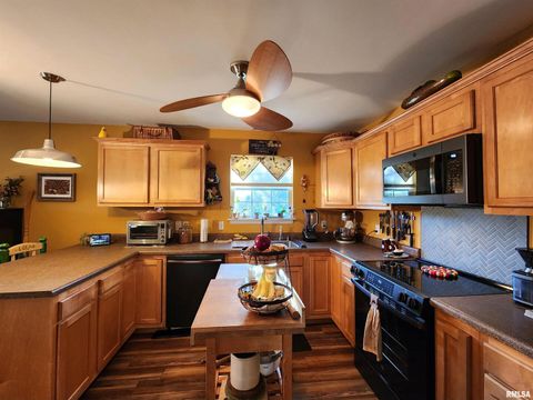 Tiny photo for 156 HANOVER Lane, Murphysboro, IL 62966 (MLS # EB460283)