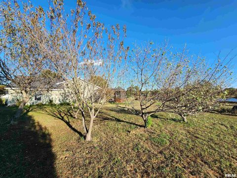 Tiny photo for 156 HANOVER Lane, Murphysboro, IL 62966 (MLS # EB460283)