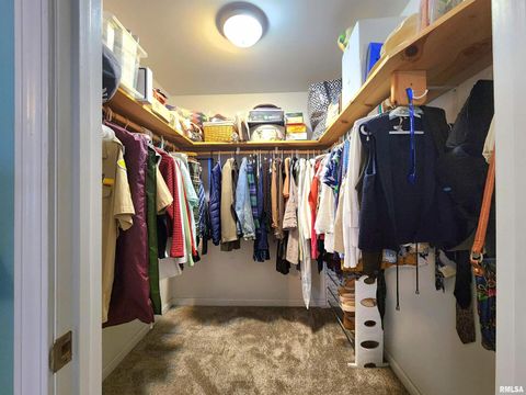 Tiny photo for 156 HANOVER Lane, Murphysboro, IL 62966 (MLS # EB460283)