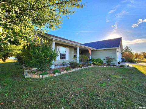 Tiny photo for 156 HANOVER Lane, Murphysboro, IL 62966 (MLS # EB460283)