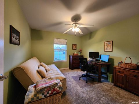 Tiny photo for 156 HANOVER Lane, Murphysboro, IL 62966 (MLS # EB460283)