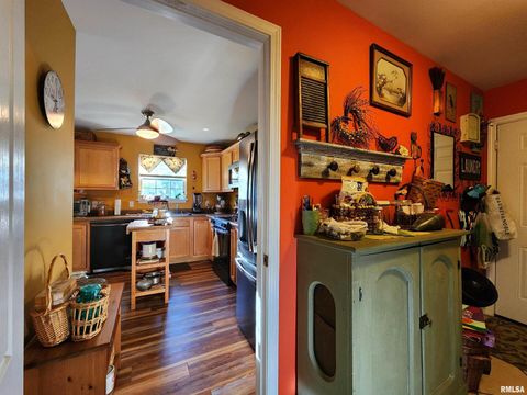 Tiny photo for 156 HANOVER Lane, Murphysboro, IL 62966 (MLS # EB460283)