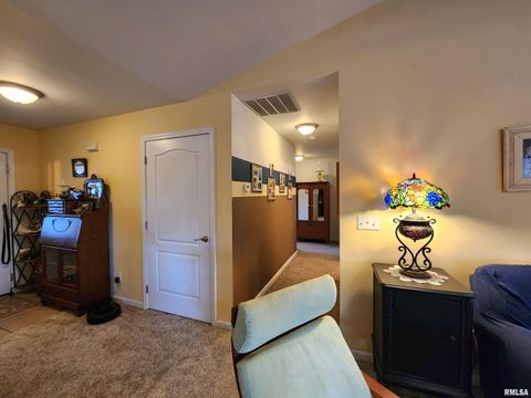 Tiny photo for 156 HANOVER Lane, Murphysboro, IL 62966 (MLS # EB460283)