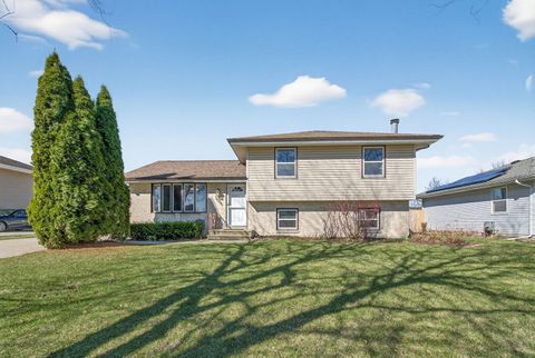 3005 Art Schultz Drive Plainfield IL 60586