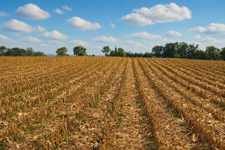 Photo 1 of 5 — 0000 N 8000W Road, Bonfield, IL 60913