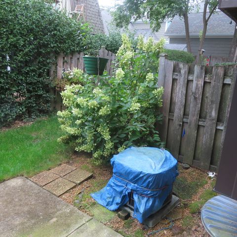 Tiny photo for 1855 Tanglewood Drive #F, Glenview, IL 60025 (MLS # 12480076)