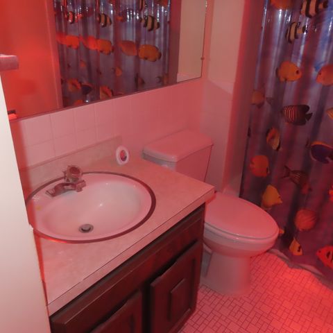 Tiny photo for 1855 Tanglewood Drive #F, Glenview, IL 60025 (MLS # 12480076)