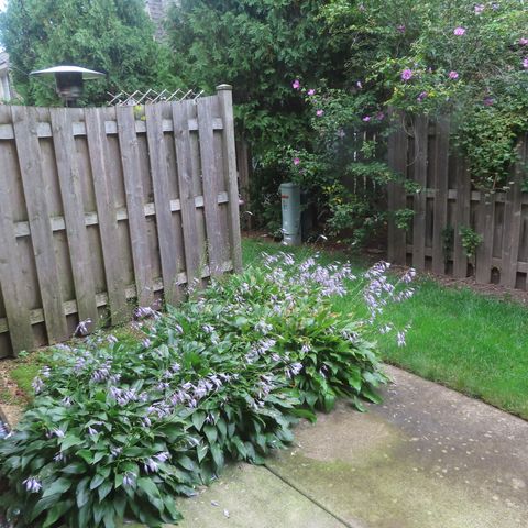 Tiny photo for 1855 Tanglewood Drive #F, Glenview, IL 60025 (MLS # 12480076)