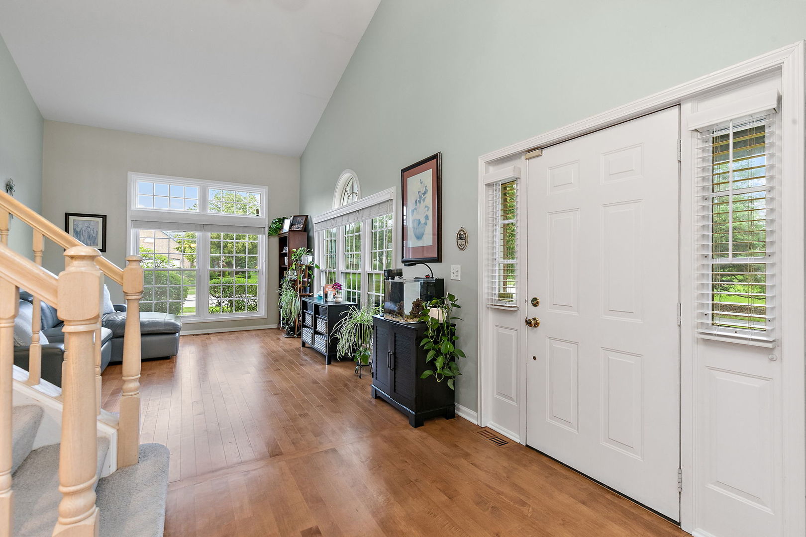 246 Lynwood Lane