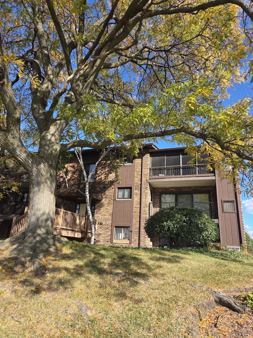 1327 Cass Lane E 301