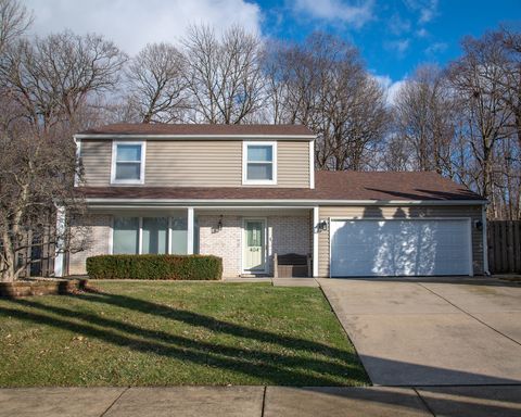 Photo of 404 Livingston Drive, New Lenox, IL 60451 (MLS # 12580842)