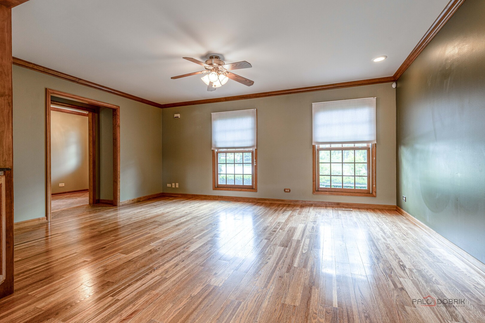 1137 Pine Tree Lane