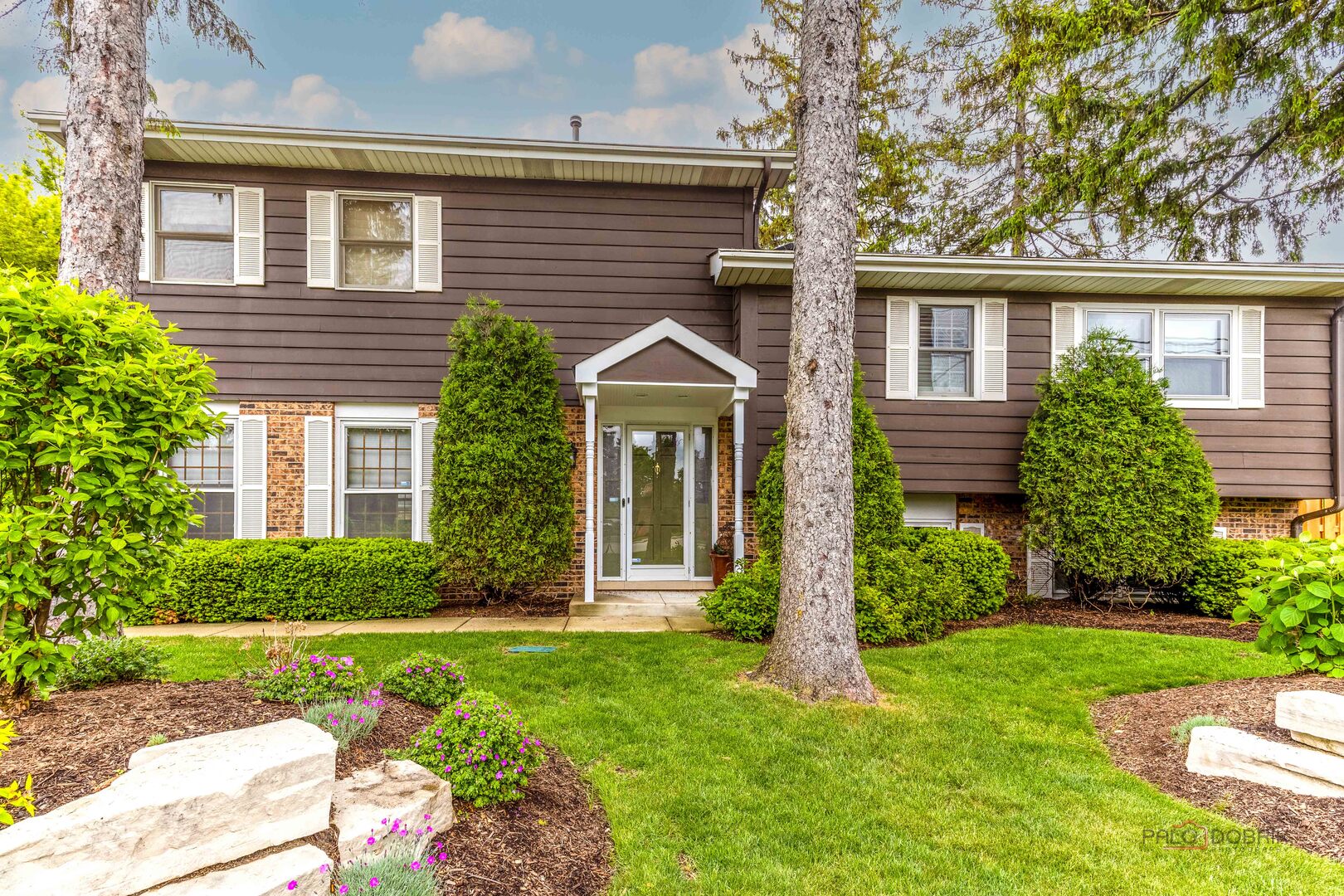 1137 Pine Tree Lane