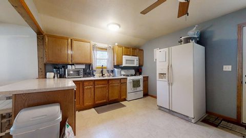 Tiny photo for 352 S Vermillion Street, Paxton, IL 60957 (MLS # 12505439)